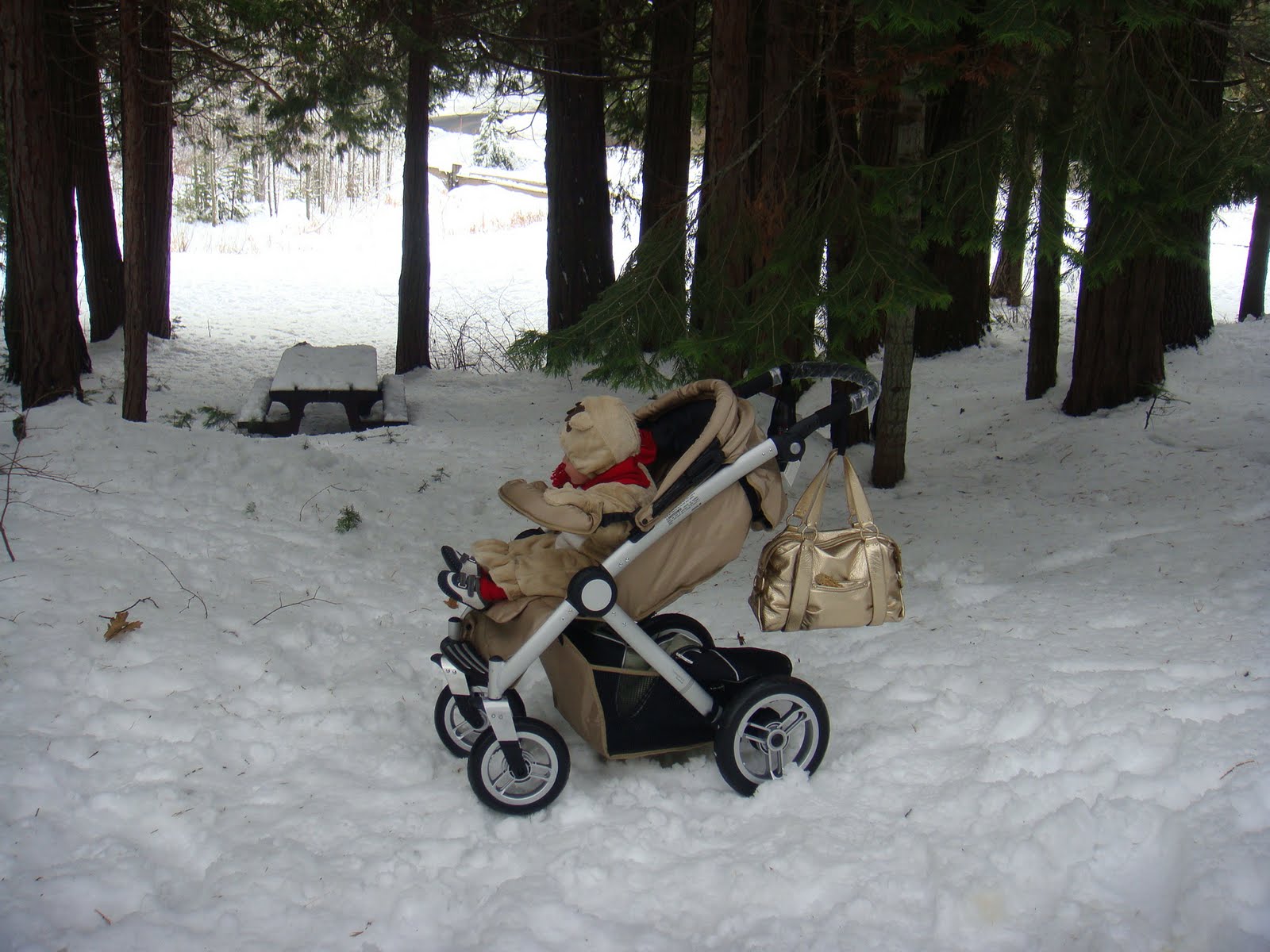 best stroller for snow